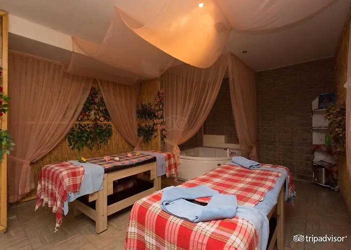 Pets Allowed Hotel Miramor & Spa